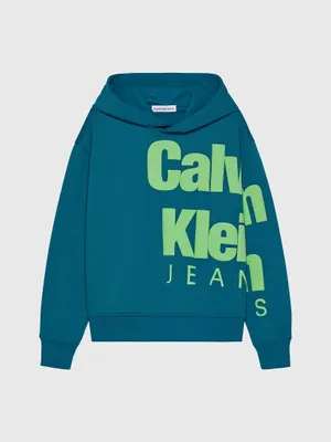 Sudadera Calvin Klein Estampado Niño Azul