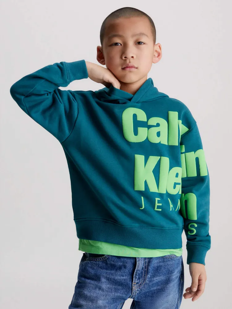 Sudadera Calvin Klein Estampado Niño Azul