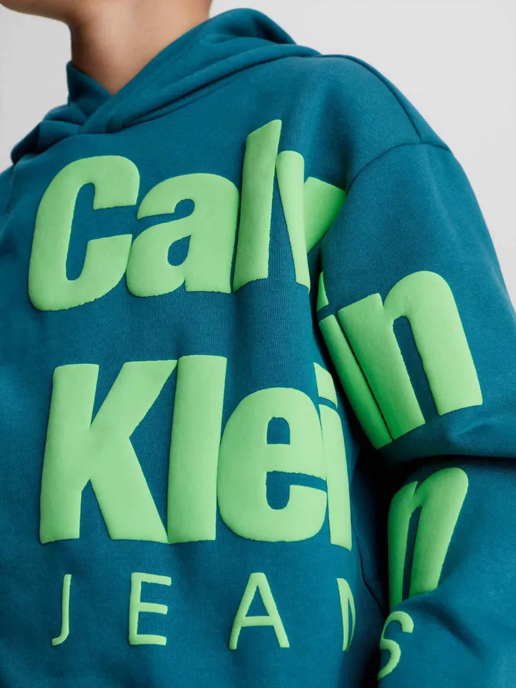 Sudadera Calvin Klein Estampado Niño Azul