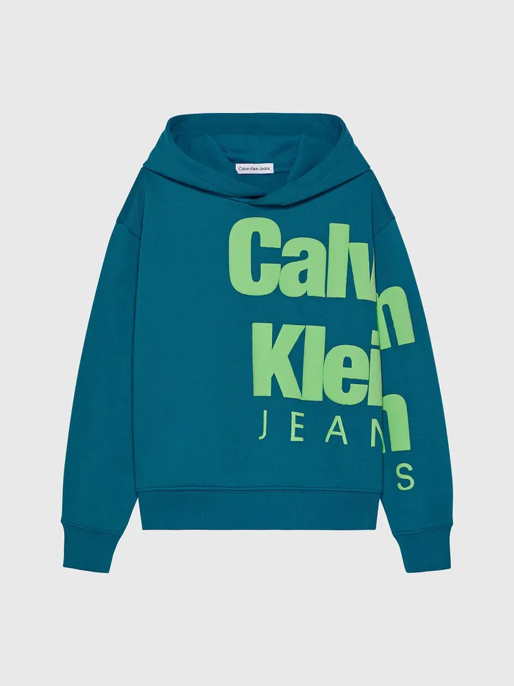 Sudadera Calvin Klein Estampado Niño Azul