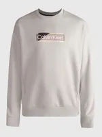 Sudadera Calvin Klein Hombre Gris