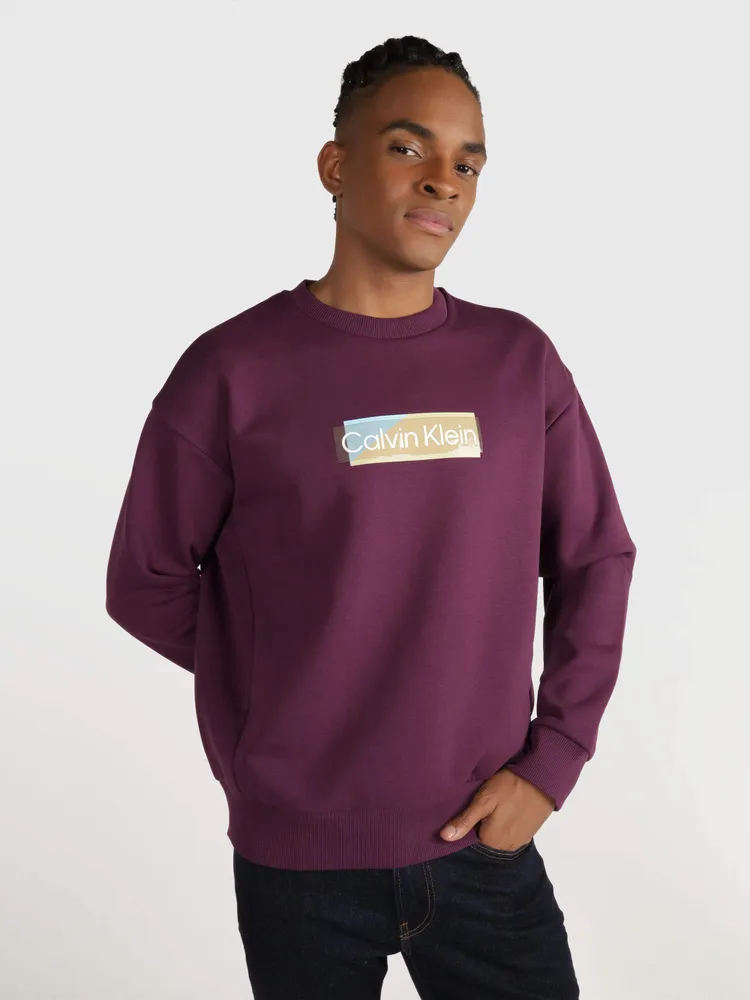 Sudadera Calvin Klein Hombre Morado