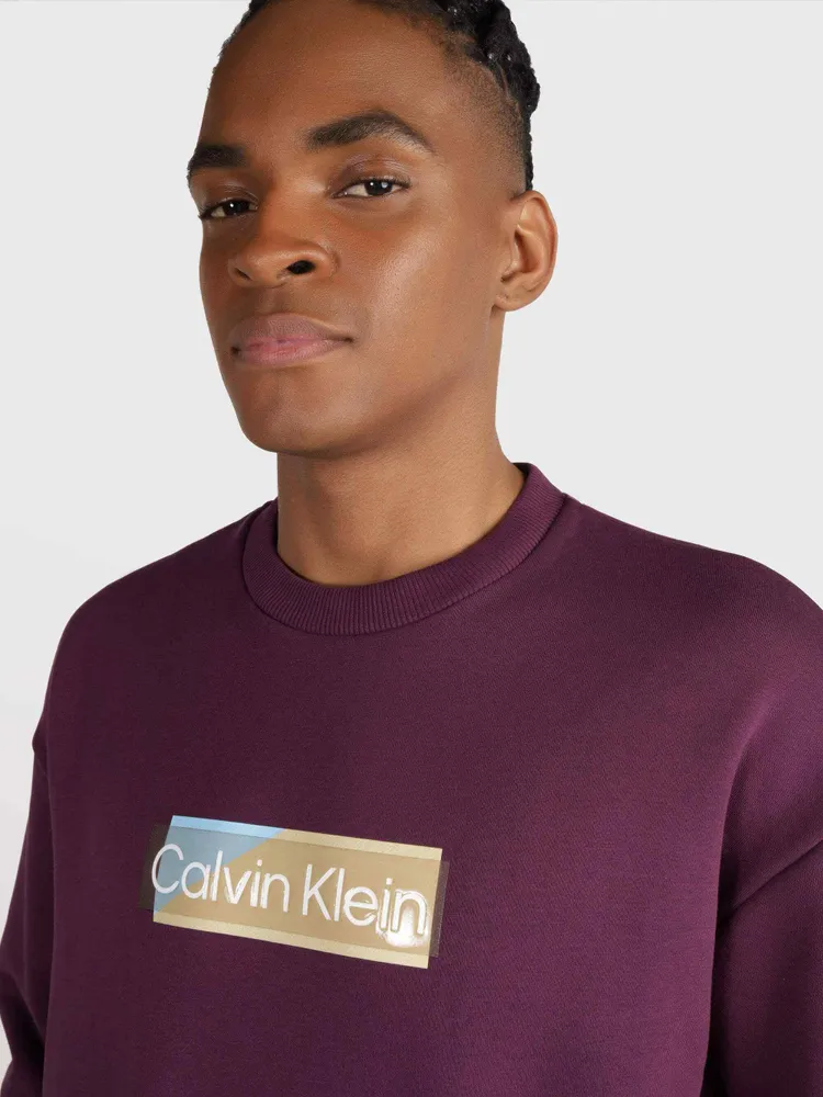 Sudadera Calvin Klein Hombre Morado