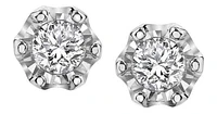 10K White Gold Diamond (0.08 ct. T.W.) Flower Studs