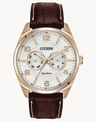 Citizen Eco-Drive Corso Brown-Tone Watch (Model AO9023-01A)