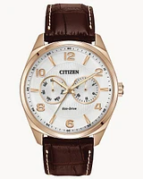 Citizen Eco-Drive Corso Brown-Tone Watch (Model AO9023-01A)