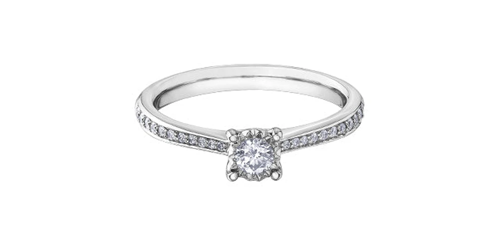 0.26 ct T.W. Round Cut Pave Diamond White Gold Ladies Ring