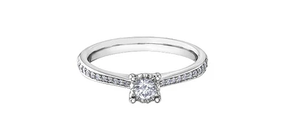 0.26 ct T.W. Round Cut Pave Diamond White Gold Ladies Ring