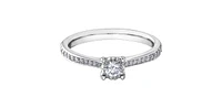 0.26 ct T.W. Round Cut Pave Diamond White Gold Ladies Ring