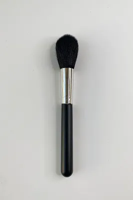 Precision Pointed Brush Pro