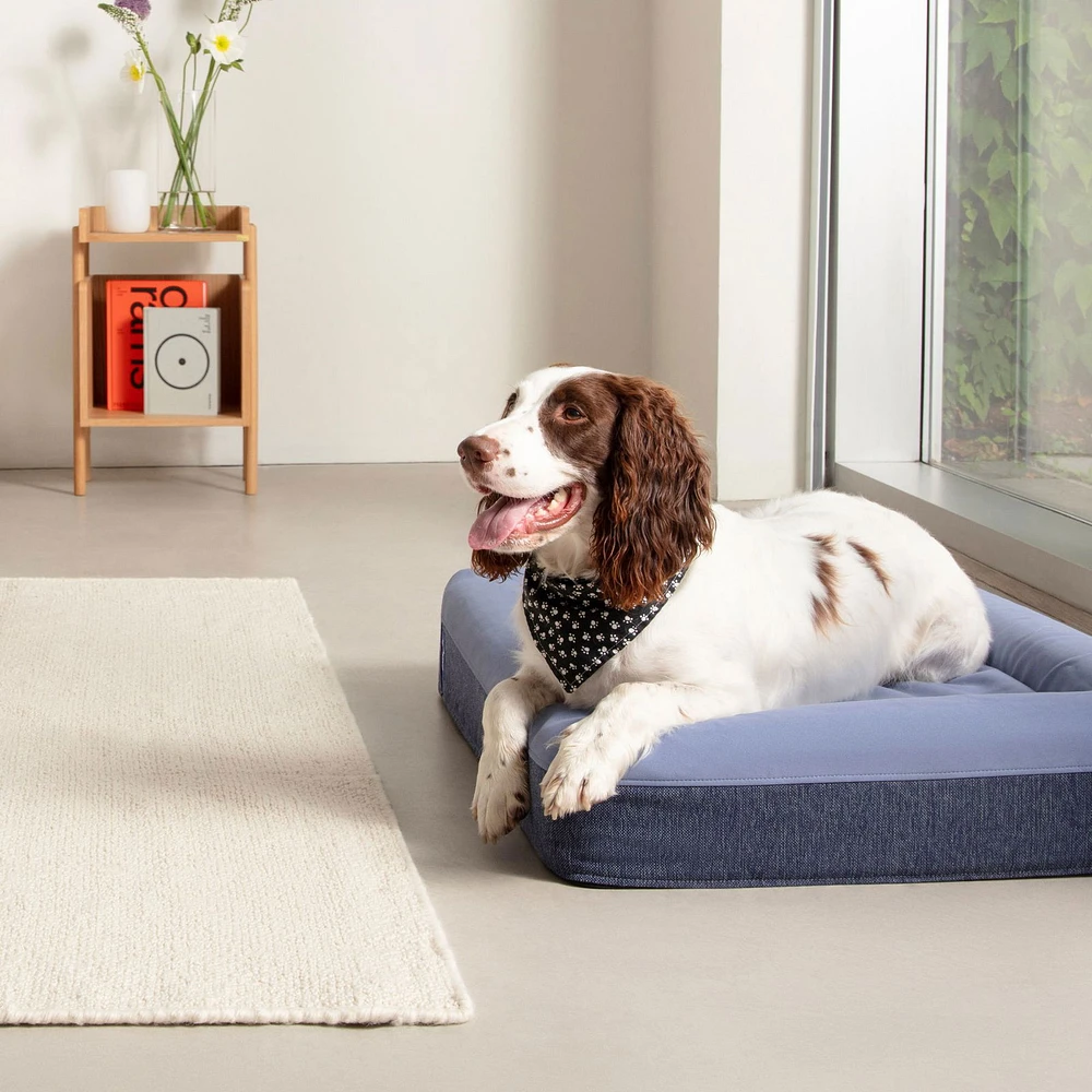 Dog Bed