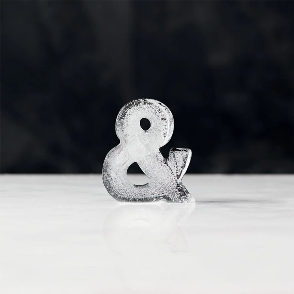 Ampersand Ice Molds, Set of 2