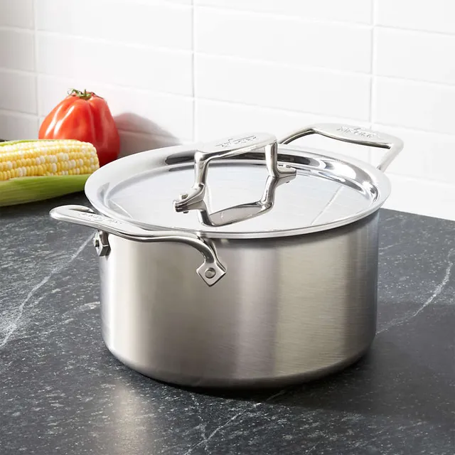 Crate & Barrel EvenCook Core 6 Qt Stainless Steel Stockpot +