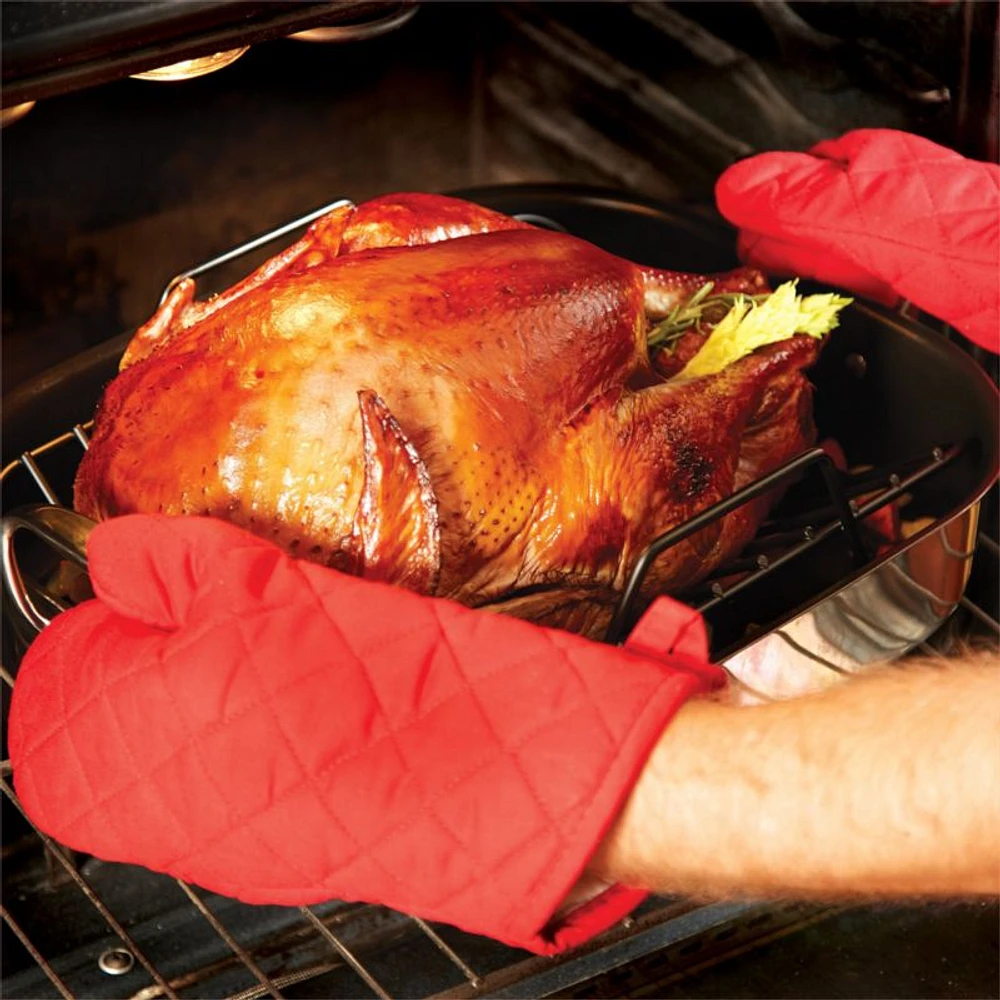 All-Clad ® Stainless Steel Non-Stick Large 16" Roaster with Rack