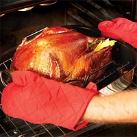 All-Clad ® Stainless Steel Non-Stick Large 16" Roaster with Rack