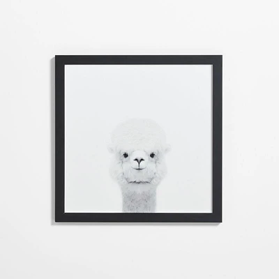 Baby Alpaca Black Wood Framed Wall Art Print