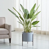 Faux Bird of Paradise Tree