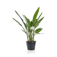Faux Bird of Paradise Tree