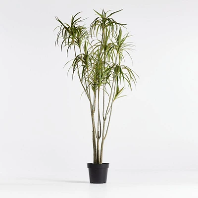 Potted Faux Dracaena 6.5'