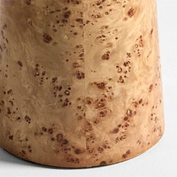 Gains Burlwood Floor Lamp with Linen Shade by Brigette Romanek