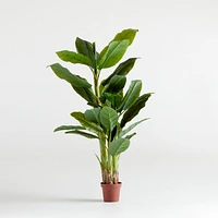 Potted Faux Banana Tree