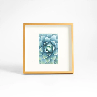 Brushed Brass 4x6 Picture Frame