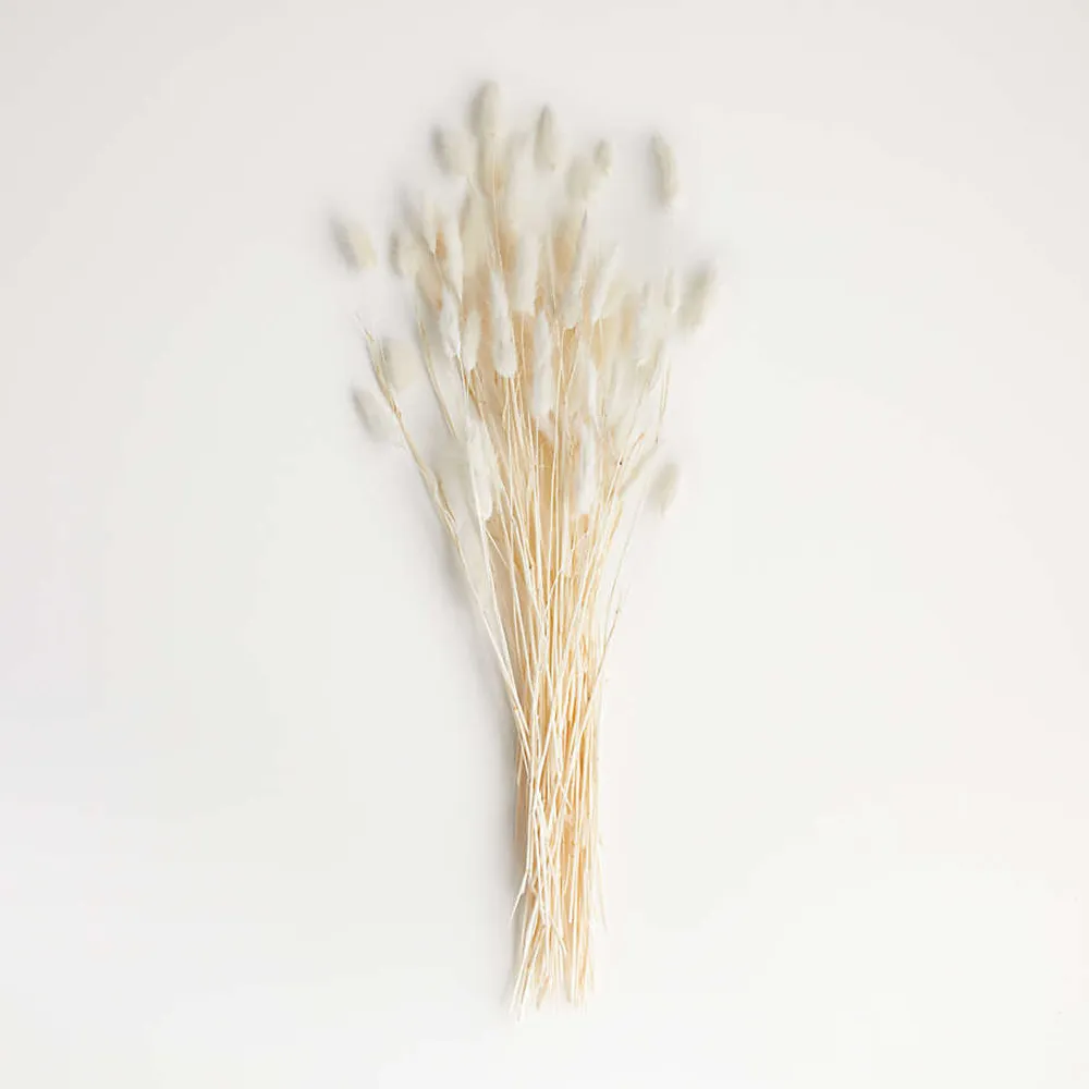 Bleached Bunny Tail Bunch Dried Botanicals