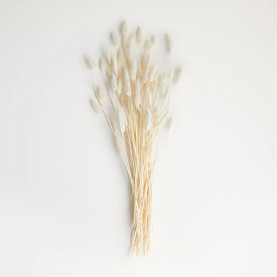 Bleached Bunny Tail Bunch Dried Botanicals