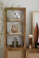 Blake Light Brown Teak and Rattan Tall Storage Cabinet