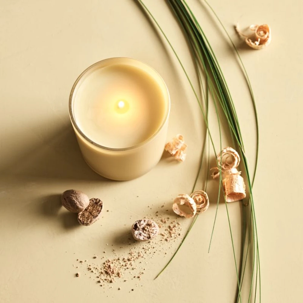 Monochrome No. 7 Pampas Reed Diffuser - Beach Grass, Nutmeg and Black Pepper