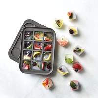 Peak Ice Everyday Ice Tray
