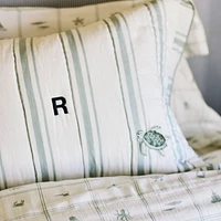 Edward Blue Sea Turtle Ticking Stripe Kids Sham by Jake Arnold