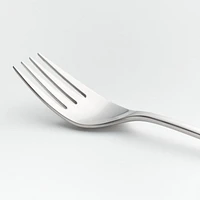 Caesna Satin Serving Fork