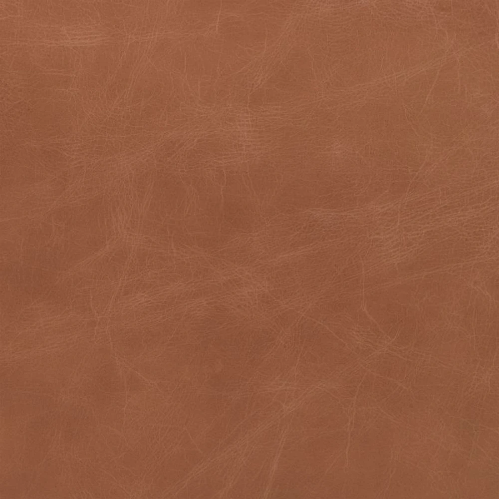 Cahone Brandy Leather Dining Chair