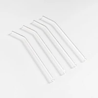 Clear Glass Straws, Set of 4