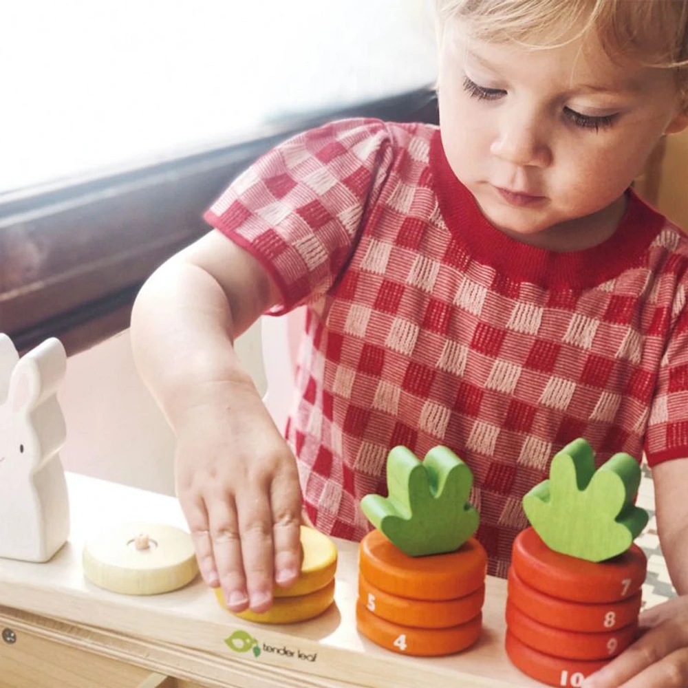 Tender Leaf Wooden Baby Counting Carrots Toy