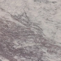 Damen Marble Coffee Table with Black Base