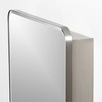 Edge Large Silver Rounded Rectangle Medicine Cabinet