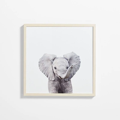 Baby Elephant Maple Wood Framed Wall Art Print