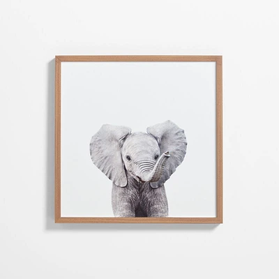 Baby Elephant Walnut Wood Framed Wall Art Print