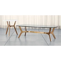 Elke Rectangular Glass Coffee Table with Brass Base