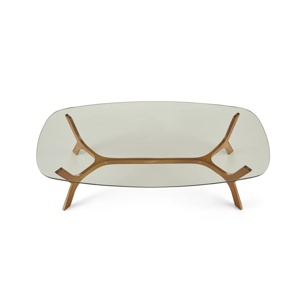 Elke Rectangular Glass Coffee Table with Brass Base