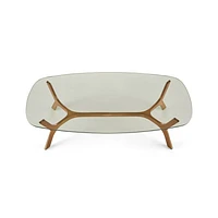 Elke Rectangular Glass Coffee Table with Brass Base