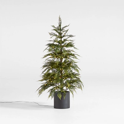 Faux Potted Hemlock Small Pre-Lit LED Christmas Tree with White Lights 4'