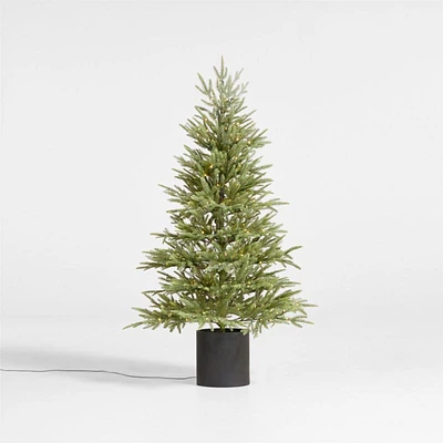 Potted Faux Norway Spruce Pre-Lit LED Tree with White Lights 5'