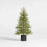 Potted Faux Norway Spruce Pre-Lit LED Tree with White Lights 5'