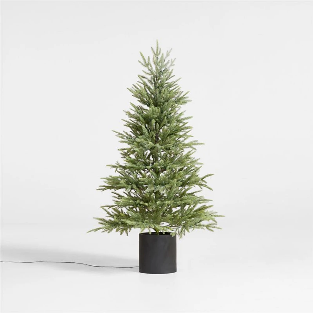 Potted Faux Norway Spruce Pre-Lit LED Tree with White Lights 5'