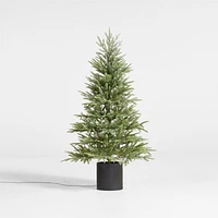 Potted Faux Norway Spruce Pre-Lit LED Tree with White Lights 5'