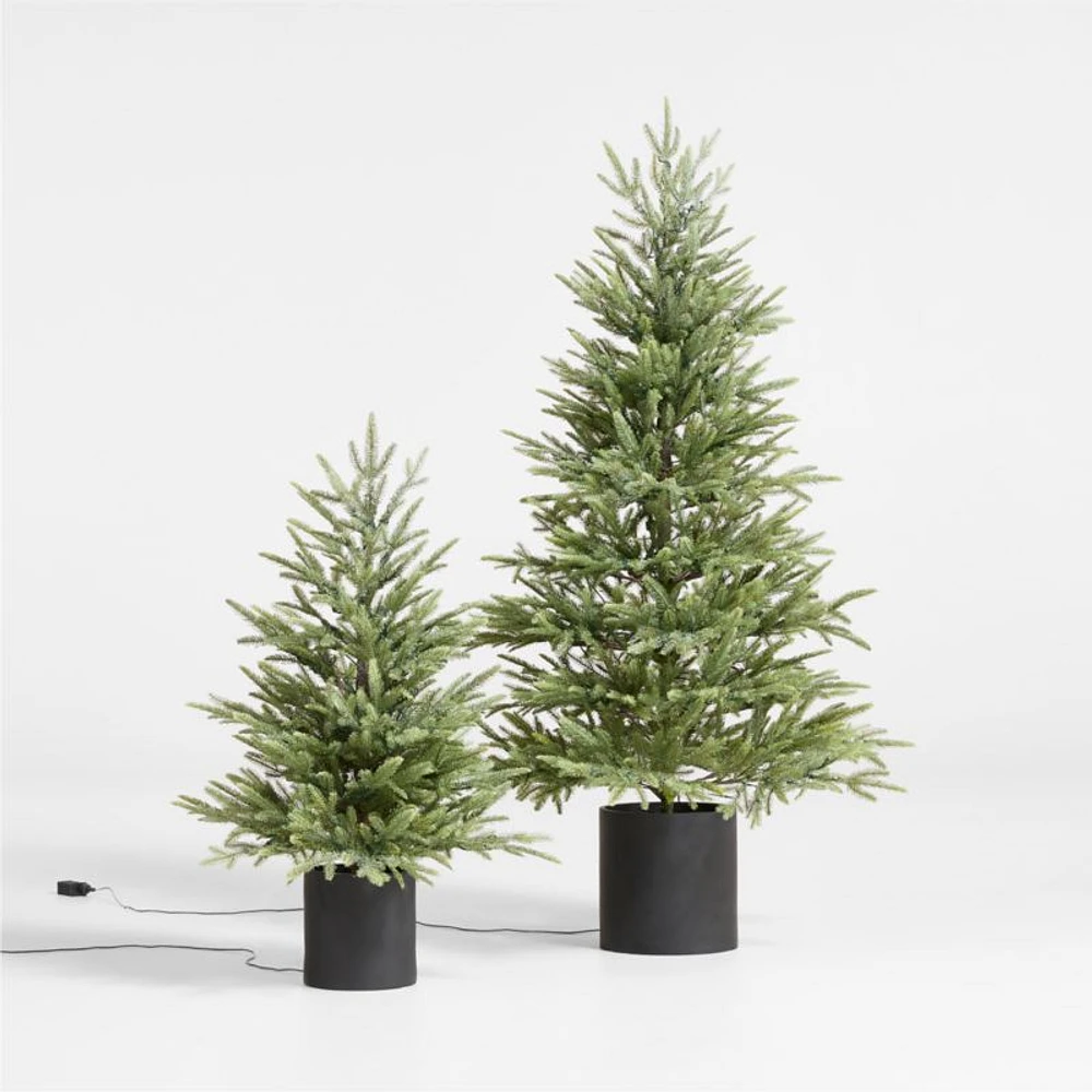 Potted Faux Norway Spruce Pre-Lit LED Tree with White Lights 5'