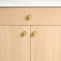 Flat Round Brushed Brass Cabinet Knob